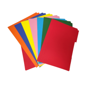 Carpeta carton