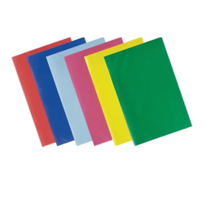 Carpeta plastica